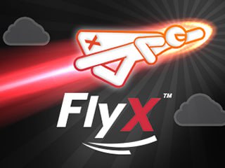 FlyX
